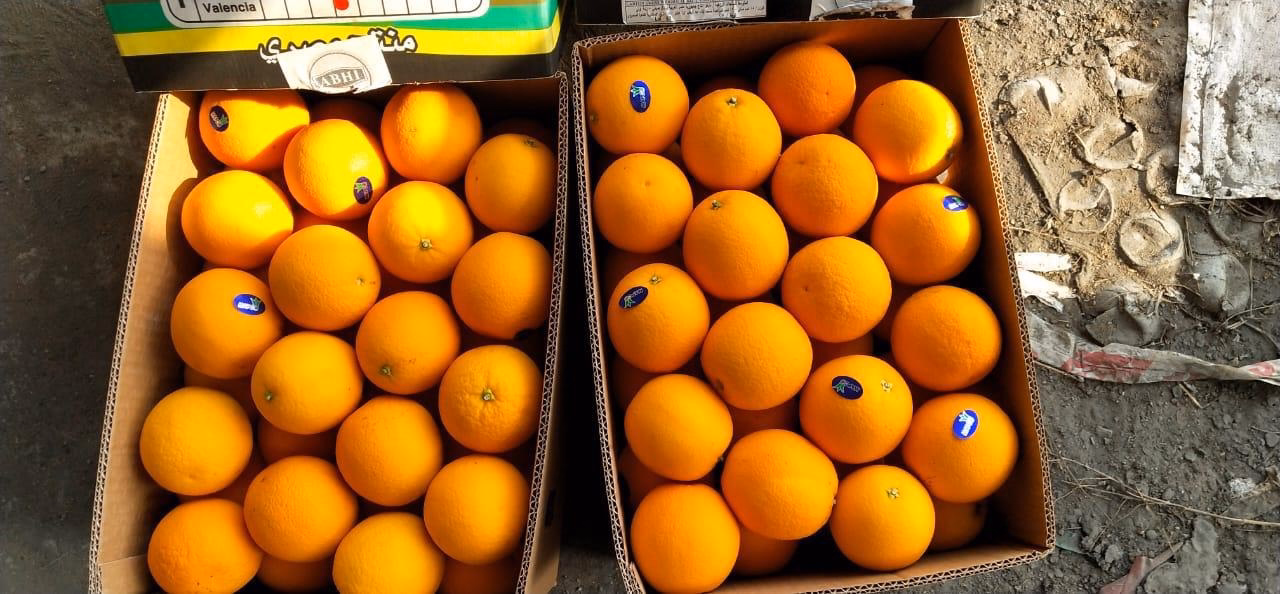 Oranges packed in crates for grading