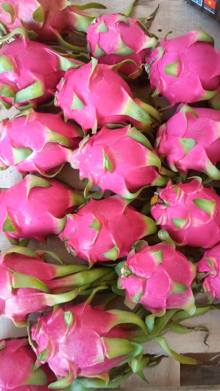 Dragon fruit at peak colour