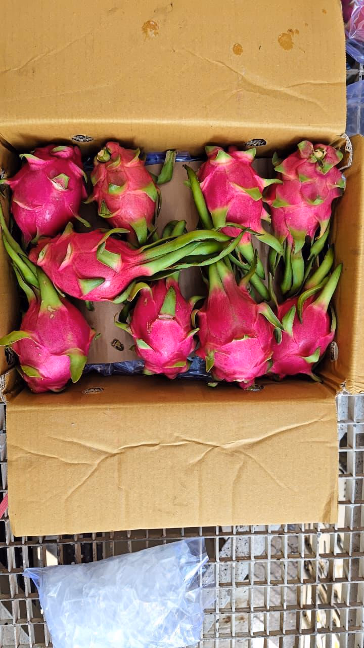 Dragon fruit packed into a carton