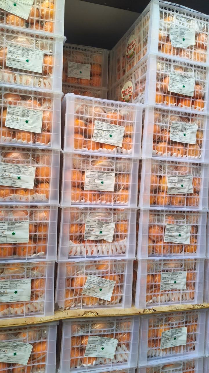 Palletised produce in cold storage