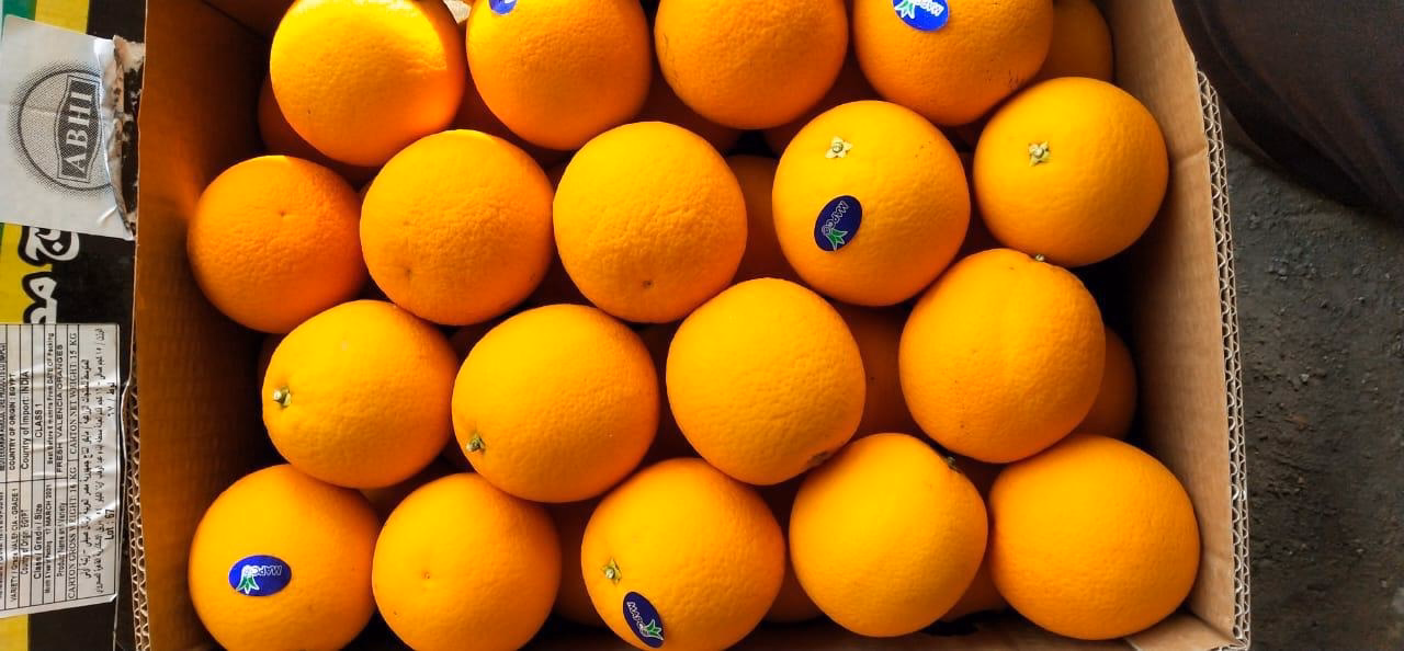 Freshly graded oranges