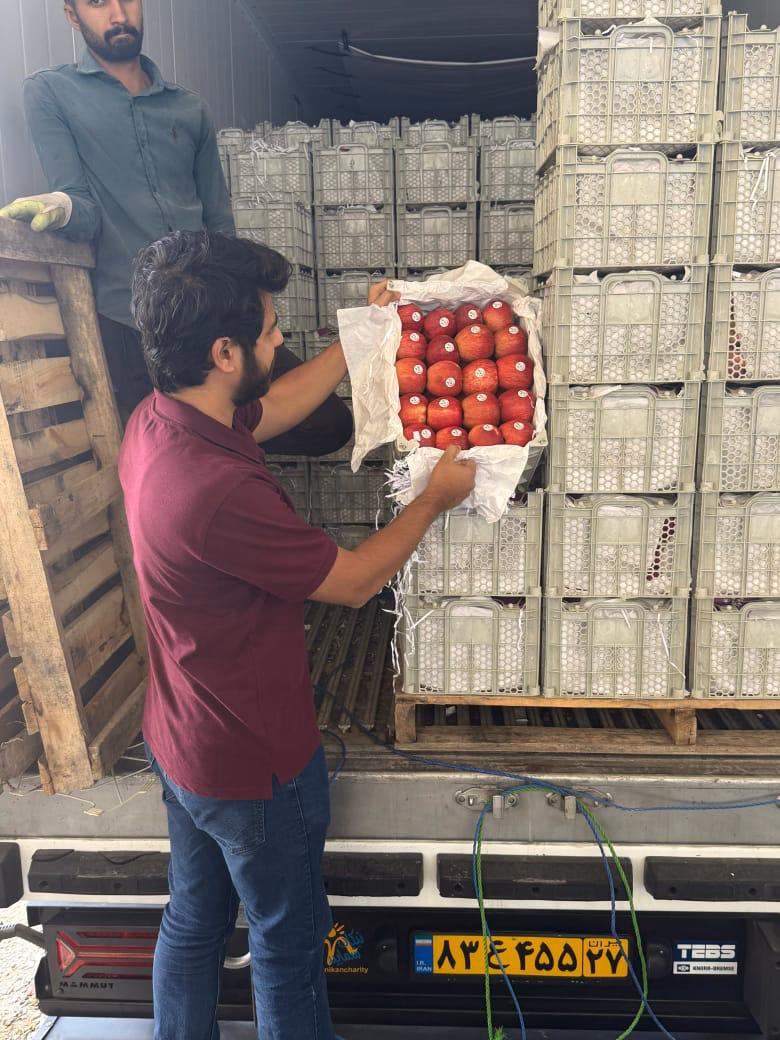 Checking a carton on the packhouse floor