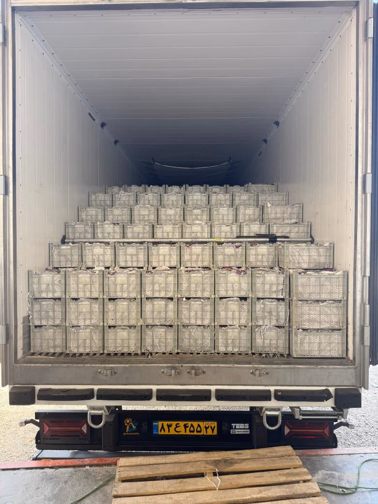 A refrigerated container loaded for dispatch